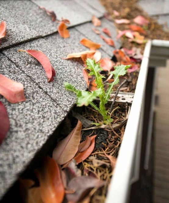 Gutter Guard Benefits
